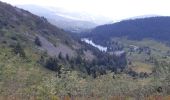 Trail Walking Le Valtin - Lac Vert - Lac du Forlet - Gazon du Faing - Photo 6