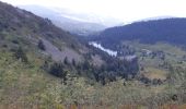 Randonnée Marche Le Valtin - Lac Vert - Lac du Forlet - Gazon du Faing - Photo 6