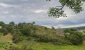 Tocht Stappen Pepinster - les 3 bois / cornesse  .  gofontaine  .  pepinster  .  cornesse  - Photo 5