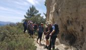 Tour Wandern Allauch - N D des Anges massif de l'étoile - Photo 14