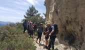 Percorso Marcia Allauch - N D des Anges massif de l'étoile - Photo 14