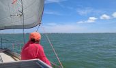 Excursión Velero Les Sables-d'Olonne - Descente vers le sud 4eme étapes les Sables d'Olonne la Rochelle - Photo 3