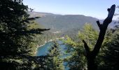 Tour Wandern Woll - Autour du Lac des Corbeaux - Photo 3