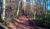 Trail Walking Braillans - Braillans - Photo 4