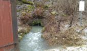 Randonnée A pied Gomadingen - Zugangsweg - Bärenhöhle Erpfingen Hörschwang Bronnen - Photo 1