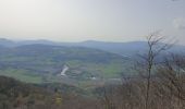 Tocht Mountainbike La Chapelle-du-Mont-du-Chat - col du chat st pierre de curtille - Photo 4