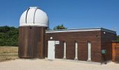 Percorso Marcia Fontaines-en-Sologne - Fontaines-en-Sologne - Les étangs - Photo 4