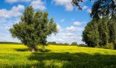 Tour Zu Fuß Kortessem - Zammelen Rode driehoek - Photo 5