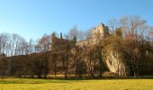 Randonnée A pied Anhée - Ruines de Montaigle - Photo 3