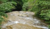 Trail Walking Saint-Claude - la cascade de la queue de  cheval  - Photo 7