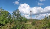 Trail Walking Aramon - aramon - les castillonnes  - Photo 17