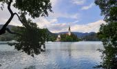 Trail Walking Bled - bled - tour du lac - Photo 7
