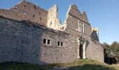 Tour Wandern Montaud - Montaud château de Montlaur le 31 01 2023 - Photo 1