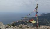 Trail Walking Castellar - Cime de Restaud et Roc d'Orméa - Photo 2