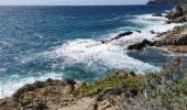 Randonnée Marche Hyères - presque ile de gien côté est - Photo 1