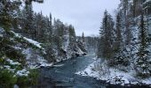 Trail On foot Kuusamo - Oulanka Wilderness Trail (Winter Trail) - Photo 10