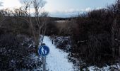 Trail On foot Texel - De Geul - Photo 7