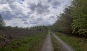 Randonnée Marche Esneux - à travers les bois d Anthines et d Esneux - Photo 5