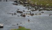 Trail Walking Unknown - Danemark: Tour de l'Ordrup Naes  - Photo 1