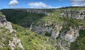 Trail Walking Minerve - Gorges de Minerve  - Photo 2