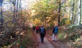 Excursión Senderismo Viroflay - Le pont Colbert - Photo 2