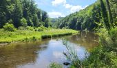Trail Walking Houffalize - Engreux 190625 - Photo 2