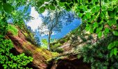 Tour Zu Fuß Roppweiler - Am Altschlossfelsen - Photo 8