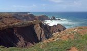 Tour Wandern Unknown - Sagres cap St VINCENT Carrapateria - Photo 14