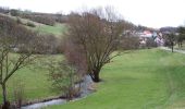 Tocht Te voet Bad Mergentheim - Schönbühler Weg - Photo 6