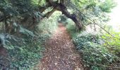 Trail Walking Manerbe - Manerbe - Photo 5