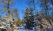 Tour Wandern La Roche-en-Ardenne - Samree 130125 - Photo 12