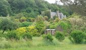 Trail Walking Plougasnou - GR_34_FC_38_Plougasnou_Morlaix_20250607 - Photo 2