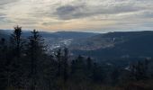 Tocht Stappen Gérardmer - Roches de Bruyères et du Page, Gorges du Roitelet - Photo 9