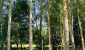 Tour Wandern Sint-Truiden - La reserve naturelle Op d’Hei à Runkelen - Photo 2