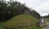 Tour Wandern Weismes - 20210911 - Sourbrodt 6.3 Km - Photo 16