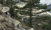 Randonnée Marche Braux - Chabrieres,Pelloussis,Argenton, Aurent, Col du Fa,Le Coulomp - Photo 11