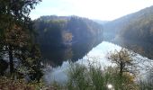 Randonnée A pied Houffalize - Promenade du Lac de Nisramont - Photo 9