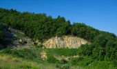 Percorso A piedi Cantalupo Ligure - Cantalupo Ligure – Monte Giarolo - Photo 4