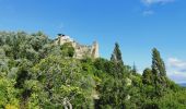 Trail Walking Piégros-la-Clastre - chapelle st Manard - Photo 6