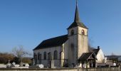 Tour Zu Fuß Beckerich - Oberpallen Wanderpfad / FB BL - Photo 7