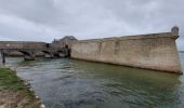 Excursión Senderismo Port-Louis - PR_56_Port-Louis_AA_01_Du-Haut-Des-Remparts_Circuit1b_20231224 - Photo 20