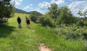 Trail Walking Moustiers-Sainte-Marie - Moustiers Castillon 13,1 km - Photo 8
