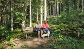 Tocht Stappen Beauraing - Balade dans la forêt de Felenne-Beauraing - Photo 1