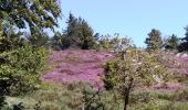 Tocht Stappen Fraisse-sur-Agout - Tour Lac de Vézoles - Photo 1