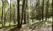 Trail Walking Stoumont - moulin du ruy . ruy . andrimont . cour . borgoumont . moulin du ruy - Photo 10