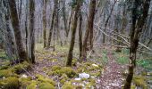 Tocht Stappen Besançon - forêt CHAILLUZ MARCHAUX - Photo 2