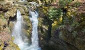 Tour Wandern Saint-Pierre-d'Entremont - Saint Pierre d'Entremont- le long du Cozon- Epernay - Photo 2