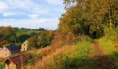 Trail Walking Mettet - Marche Adeps à Ermeton-sur-Biert - Photo 2