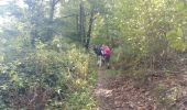 Trail Walking Bizous - BIZOUS G4 le tour des monts 