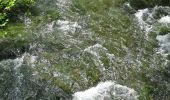 Trail Walking Besse-sur-Issole - Besse sur Issole - Photo 9